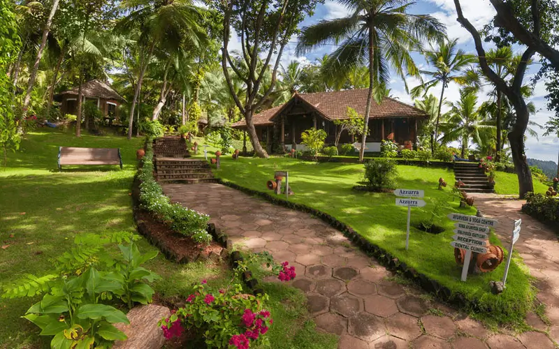 Ayurveda and Wellness Retreats in Kerala