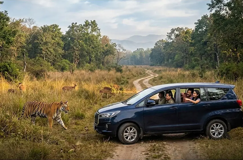 Jim Corbett National Park Tour from Delhi by Private Car | Safari Guide