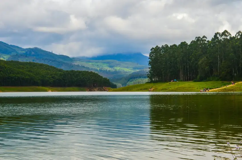 Kochi to Munnar Car with Driver Cost - Hills Travel & Distance Guide