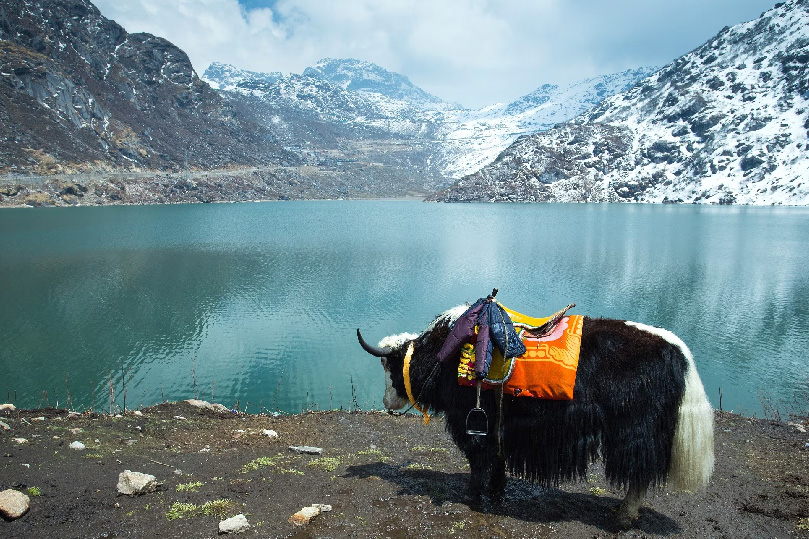 Places to visit in North India in summer