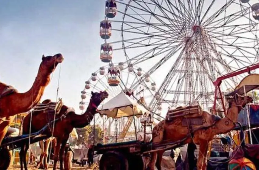 Pushkar Camel Fair in Rajasthan – Complete Travel Guide for Tourists