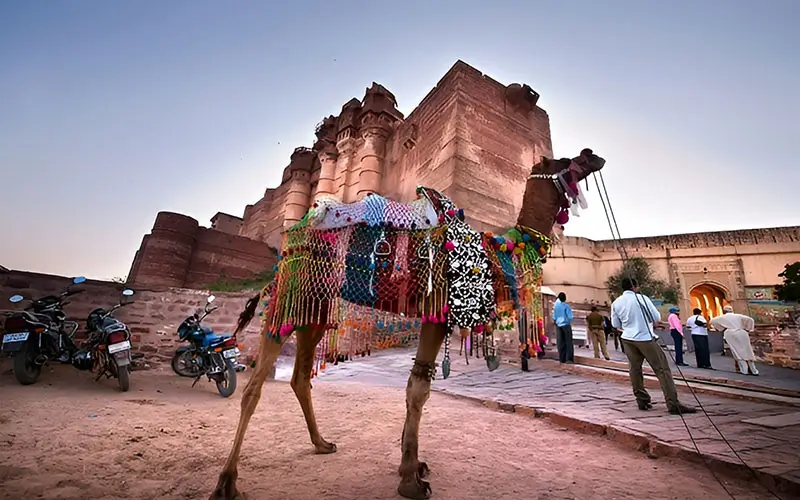 Rajasthan in December – Winter Festivals, Camel Fairs & Luxury Desert Tours