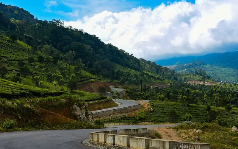 10–15 Day South India Road Trip Itinerary with Private Car & Driver