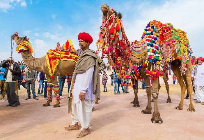 Top most Fair and Festivals of Rajasthan