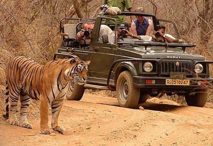 Two Days Ranthambore Tour In India