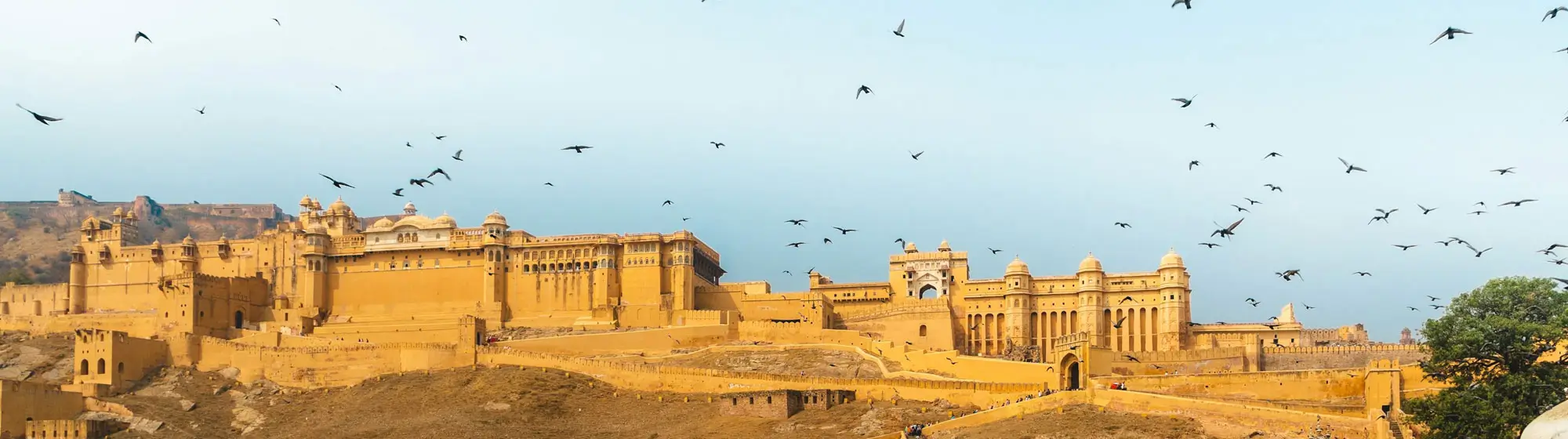 Rajasthan Family Trip Plan For 8 Days