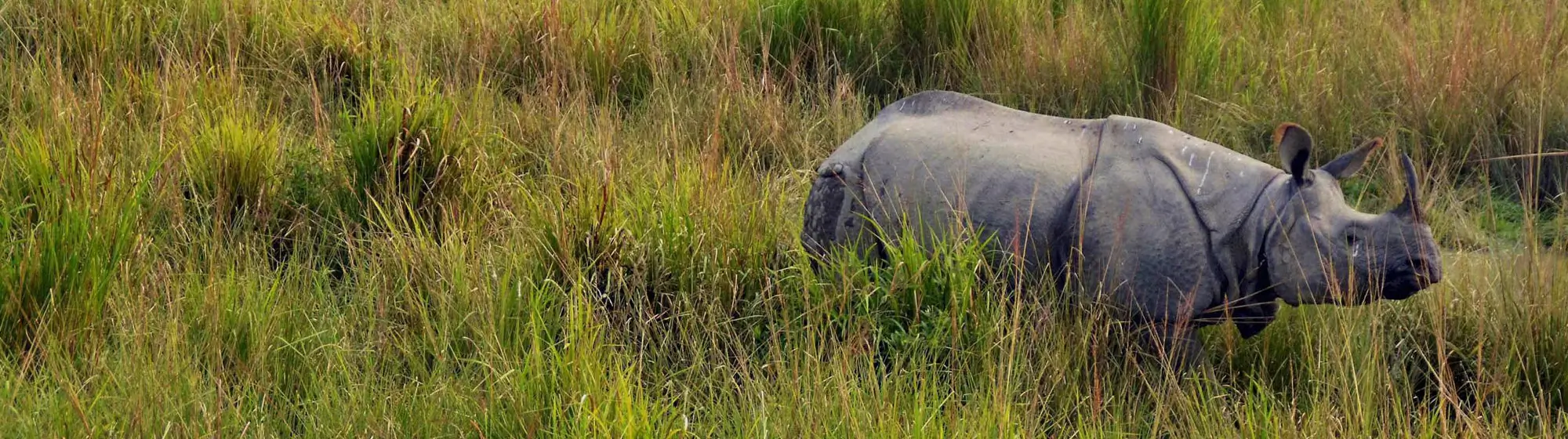 Assam & Meghalaya Wildlife Nature Tour – 12 Days Private Car Journey with Driver