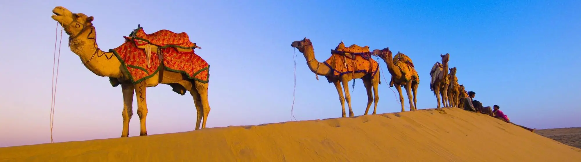 Rajasthan Tour Package 12 Days, 12 Days Rajasthan Tour Packages