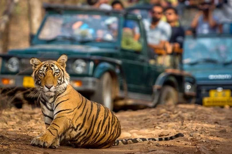 Golden Triangle Tour With Tiger Safari
