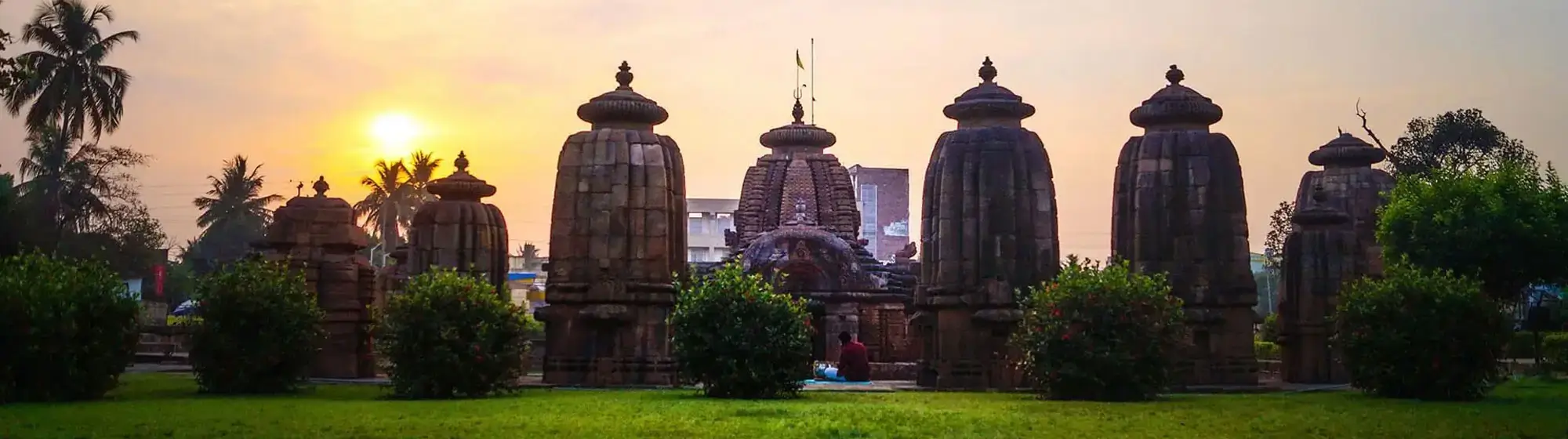 Konark Sun Temple & Odisha Heritage Tour