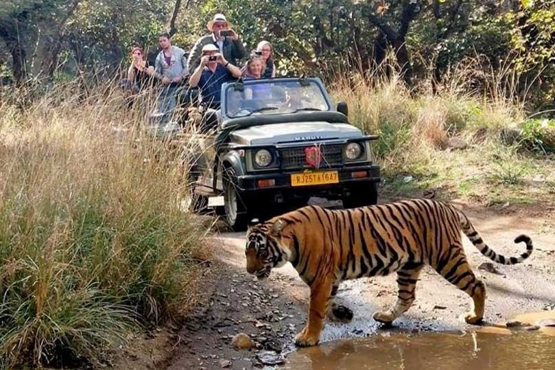 Luxury Golden Triangle Tour with Ranthambore