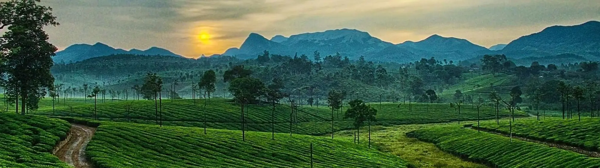 Exotic South India 6 Days