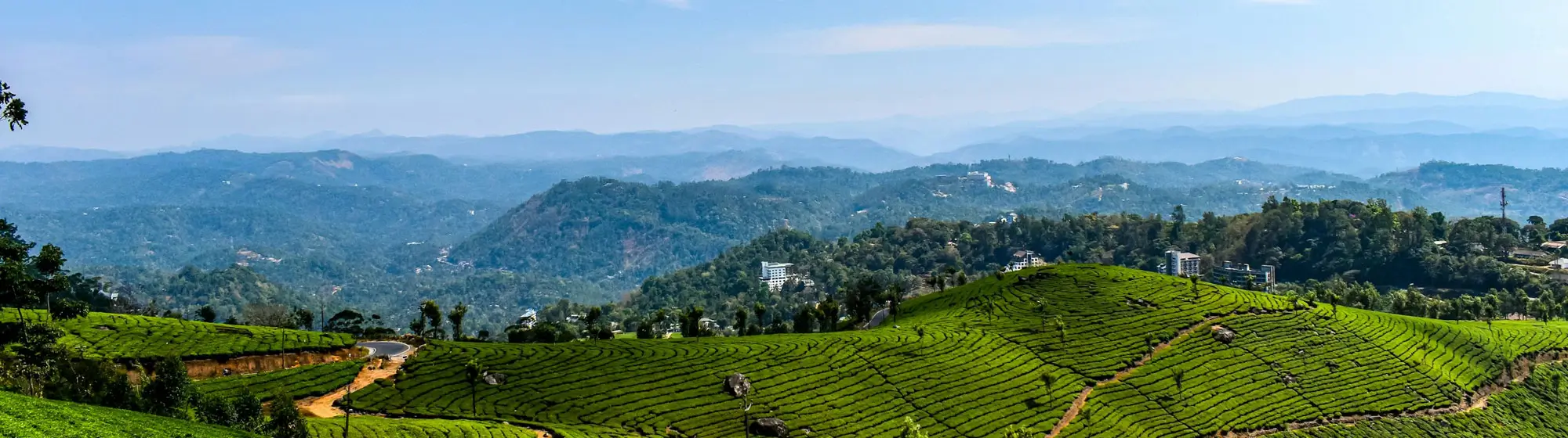 Kerala Honeymoon Tour Package, 7 Days Kerala Honeymoon