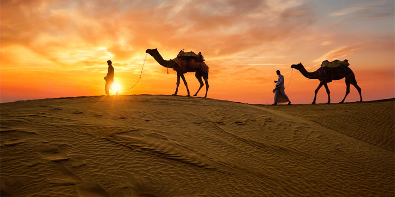 Rajasthan Desert